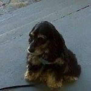 Meet your Posher, Lynette